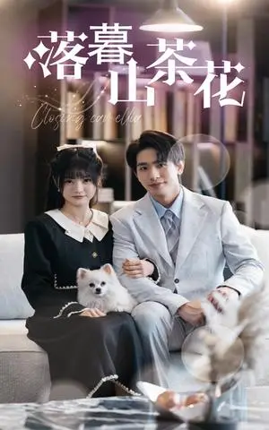 《落幕山茶花（50集）王浩翔＆王煜可晴（夸克网盘）》短剧封面