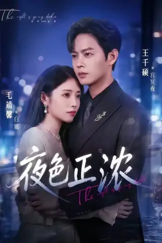 《夜色正浓（65集）王千硕＆毛靖馨（夸克网盘）》短剧封面