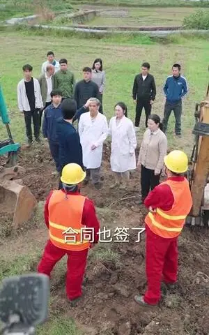 《大农（71集）（夸克网盘）》短剧封面