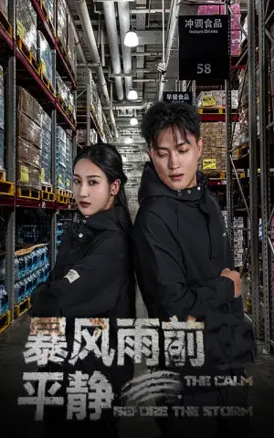 《暴风雨前的平静》短剧封面