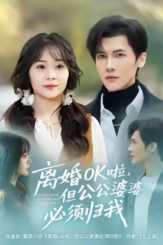 《离婚OK啦，但公公婆婆必须归我（81集）》短剧封面