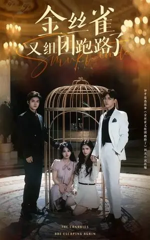 《金丝雀又组团跑路了（长篇）谢鸿鑫&杜亚飞（夸克网盘）》短剧封面