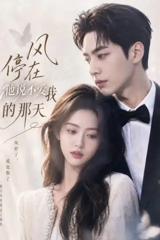 《风停在他说不爱我的那天（40集）（夸克网盘）》短剧封面