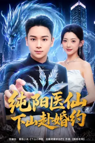 《纯阳医仙下山赴婚约（80集）范高坡＆王冰星（百度网盘）》短剧封面