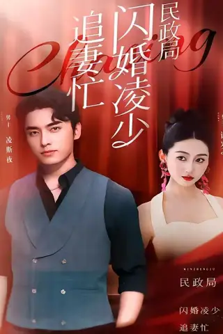 《民政局外闪婚凌少追妻忙（94集）王博&范祺》短剧封面