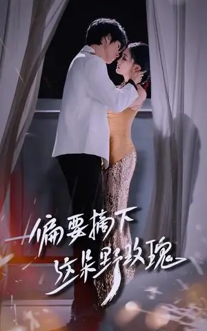《偏要摘下这朵野玫瑰（60集）燕颢元＆张亚迪》短剧封面
