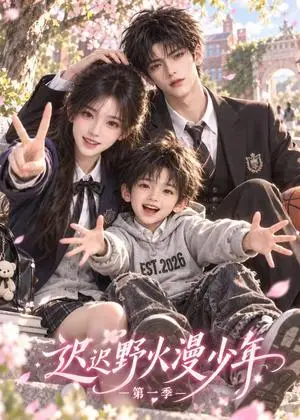 《迟迟野火漫少年第一季（134集）（夸克网盘）》短剧封面