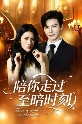 《陪你走过至暗时刻（80集）李彬航＆张沐桐 (2026)》短剧封面