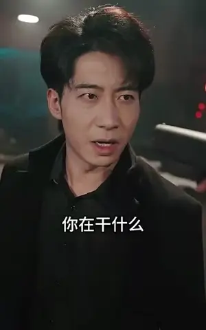 《九龙城寨之卧虎藏龙》短剧封面