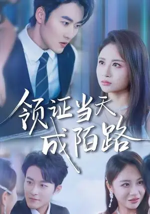 《领证当天成陌路(39集)姜博龙&李佳乐(夸克网盘)》短剧封面