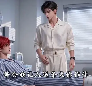 《风骨情深之念安第二季(101集)(夸克网盘)》短剧封面
