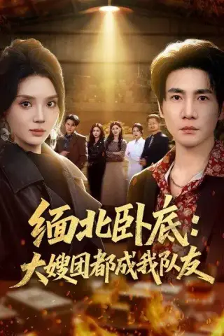 《缅北卧底：大嫂团都成我队友（71集）李想＆文静 (2026)》短剧封面