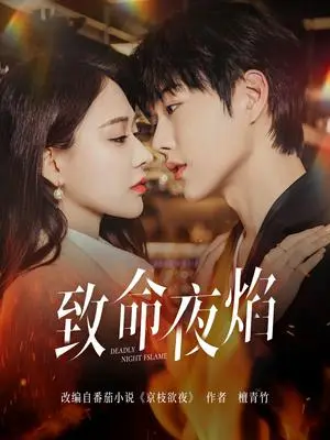 《致命夜焰（80集）王轩&何适（夸克网盘）》短剧封面