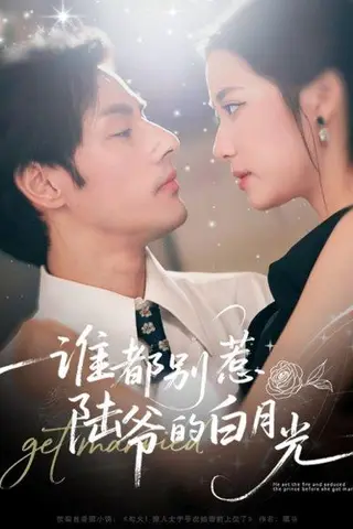 《谁都别惹陆爷的白月光》短剧封面