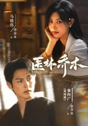 《医林乔木（73集）黄靖洲＆马晓伟（夸克网盘）》短剧封面