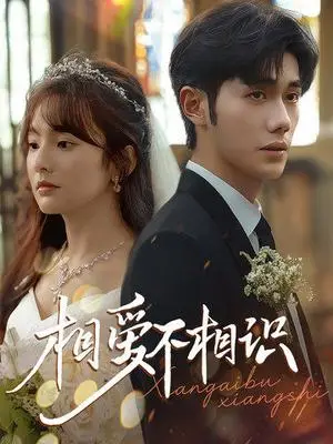 《相爱不相识（67集）李铂一&王子怡（夸克网盘）》短剧封面