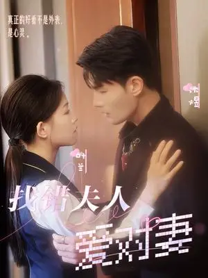 《找错夫人爱对妻（36集）（夸克网盘）》短剧封面
