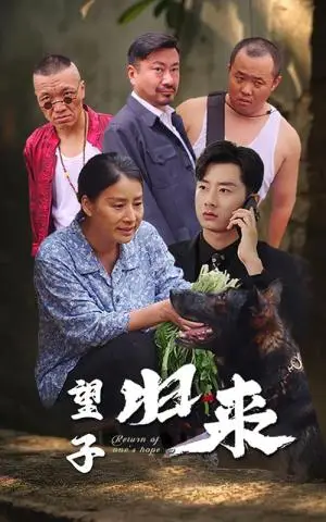《望子归来（50集）（夸克网盘）》短剧封面