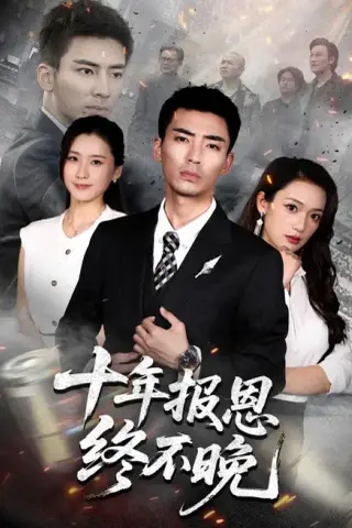 《十年报恩终不晚（87集）张瀚文＆周颖＆蒋潇林（1080P）（夸克网盘）》短剧封面