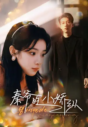 《秦爷的小娇纵》短剧封面