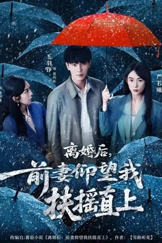 《离婚后，前妻仰望我扶摇直上（84集）王羽铮＆严若曦》短剧封面