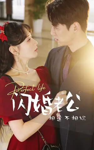 《闪婚老公相逢不相识》短剧封面