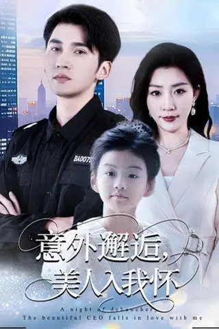 《意外邂逅美人入我怀》短剧封面