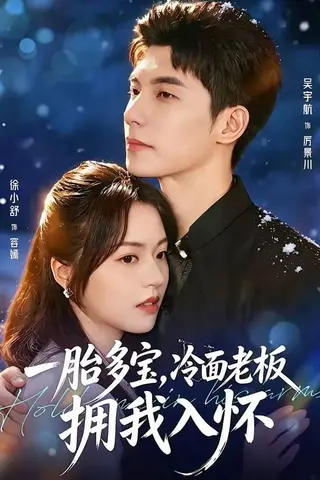 《一胎多宝，冷面老板拥我入怀（60集）吴宇航＆徐小舒（百度网盘）》短剧封面