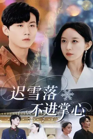 《迟雪落不进掌心（79集）》短剧封面