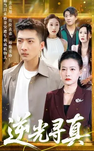《逆光寻真（66集）王石&贺颖怡（夸克网盘）》短剧封面