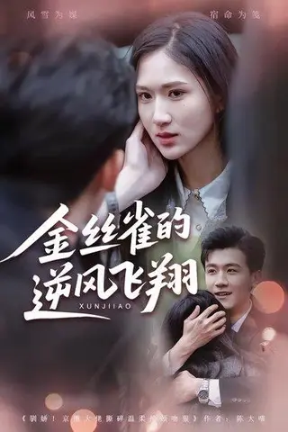 《金丝雀的逆风飞翔（80集）廖帕姿&曹润辉（百度网盘）》短剧封面