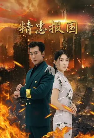 《精忠报国》短剧封面