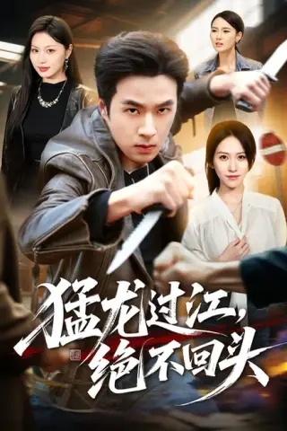 《猛龙过江，绝不回头（81集）孔奇力＆金美希（夸克网盘）》短剧封面