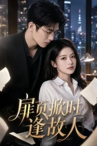 《扉页掀时逢故人（80集）（百度网盘）》短剧封面