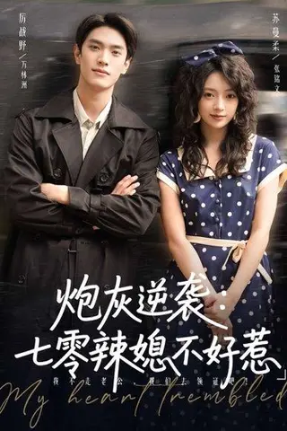 《炮灰逆袭七零辣媳不好惹（78集）万林洲&张铭文（百度网盘）》短剧封面