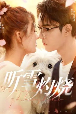 《听雪灼烧（68集）希尔力＆刘美娜》短剧封面