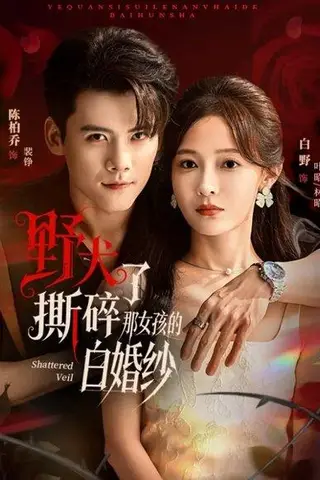 《野犬撕碎了那女孩的白婚纱（78集）陈刚＆白野（百度网盘）》短剧封面