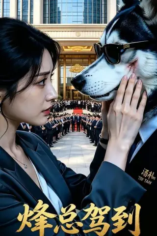 《烽总驾到（32集）（百度网盘）》短剧封面