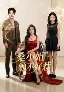《桑小姐她不好惹（103集）（夸克网盘）》短剧封面