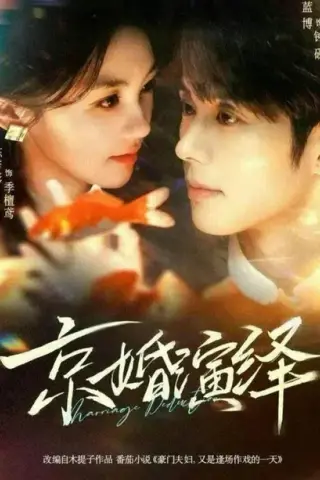 《京婚演绎（60集）蓝博＆陈芳彤（百度网盘）》短剧封面