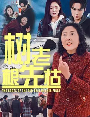 《树老根先枯（33集）（夸克网盘）》短剧封面