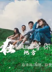 《在有风的地方等你（32集）》短剧封面