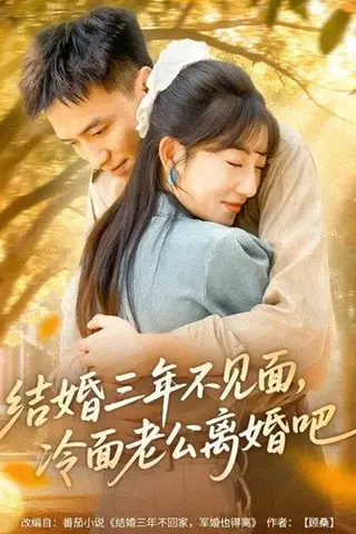 《结婚三年不见面，冷面老公离婚吧（67集）刘乂宇＆孙丛珊》短剧封面