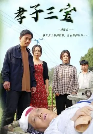 《孝子三宝（50集）（夸克网盘）》短剧封面
