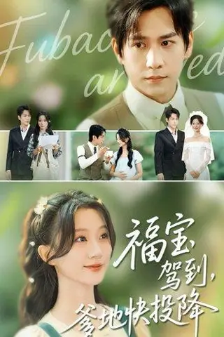 《福宝驾到，爹地快投降》短剧封面