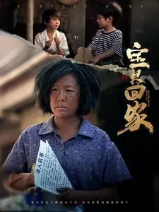 《来自大山的哑娘（66集）张诗媛（夸克网盘）》短剧封面