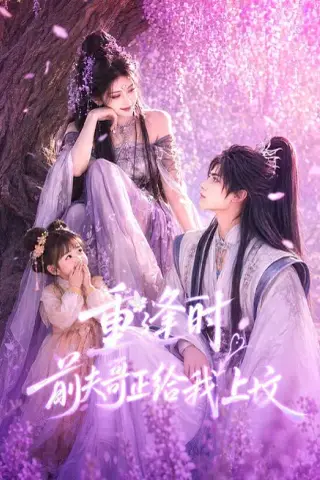 《重逢时前夫哥正给我上坟（67集）（百度网盘）》短剧封面