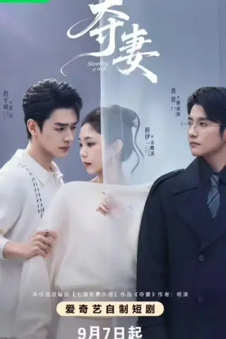 《夺妻（70集）程宇峰&黄波&程伊一（夸克网盘）》短剧封面