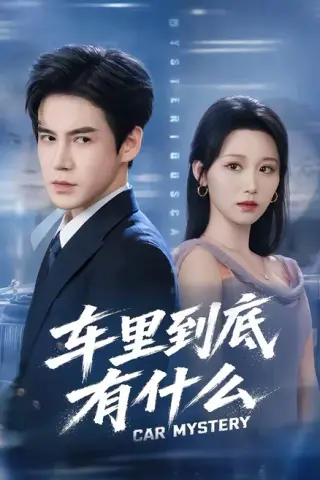 《车里到底有什么（51集）李子锋＆林千仟（百度网盘）》短剧封面