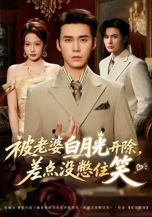 《被老婆白月光开除，差点没憋住笑（40集）宋哲伦&杨添羽（夸克网盘）》短剧封面